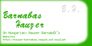 barnabas hauzer business card